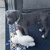 Thumbnail photo of Blu #3