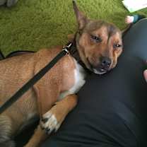 Thumbnail photo of Diego #2