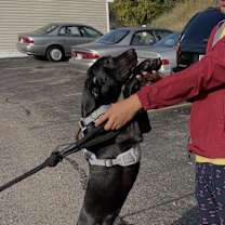 Thumbnail photo of Kayla #2