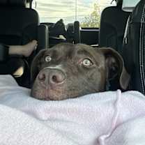 Thumbnail photo of Lana #3