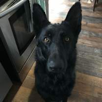 Thumbnail photo of Braven #1