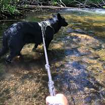 Thumbnail photo of Braven #3