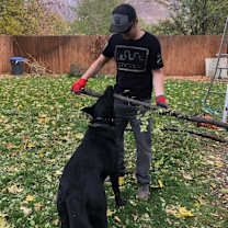 Thumbnail photo of Braven #4