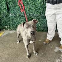 Thumbnail photo of 59999622 #2