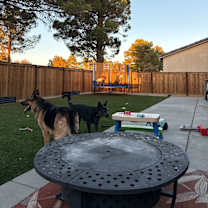 Thumbnail photo of Horus #4