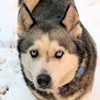 Thumbnail photo of Barbie #2