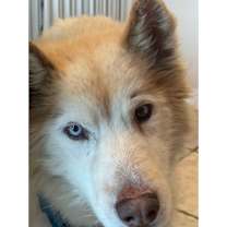 Thumbnail photo of Atlas #2