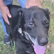 Thumbnail photo of Marshall #3