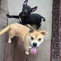 Thumbnail photo of Frederick #3