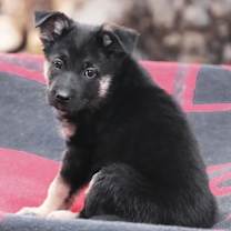 Thumbnail photo of Carley von Jesteburg #2