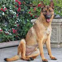 Thumbnail photo of Mara von Meyn #2