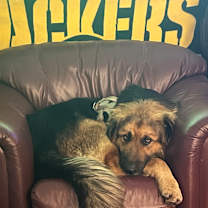 Thumbnail photo of Jordy #4