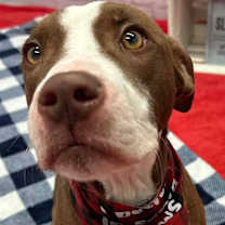 Thumbnail photo of Mosinee #1