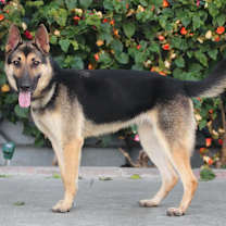 Thumbnail photo of Candace von Celle #3