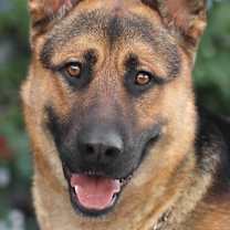 Thumbnail photo of Mario von Borod #1