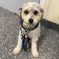 Thumbnail photo of Patrick #4