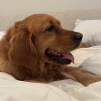 Thumbnail photo of Liya #1