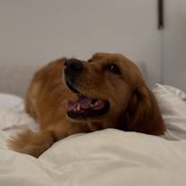 Thumbnail photo of Liya #2