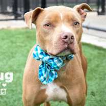 Thumbnail photo of Bug #1