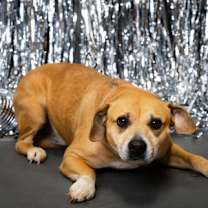 Thumbnail photo of Hope #1