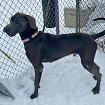 Thumbnail photo of Luke #3