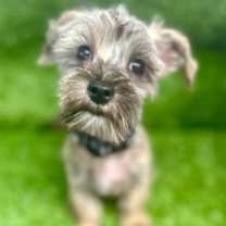 Thumbnail photo of Emiliano #2