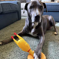 Thumbnail photo of Maverick #3