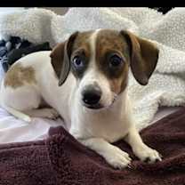 Thumbnail photo of Khloe #1