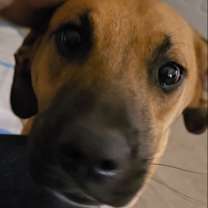 Thumbnail photo of Rachel #1