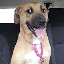 Thumbnail photo of Rachel #2