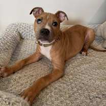 Thumbnail photo of Inari #3