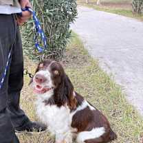 Thumbnail photo of Coffee #4