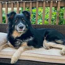 Thumbnail photo of 0931 Bella NKA Ella #2