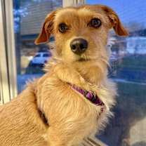 Thumbnail photo of Stanley #1