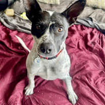 Thumbnail photo of Antonio #1