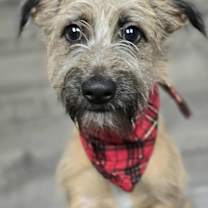 Thumbnail photo of Maryland #3