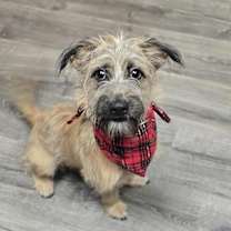 Thumbnail photo of Maryland #4