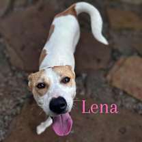 Thumbnail photo of Lena #1