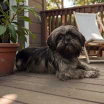 Thumbnail photo of Imara #1