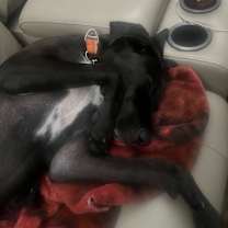 Thumbnail photo of Kona Coffee #3