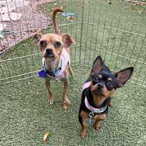 Thumbnail photo of Edith #3