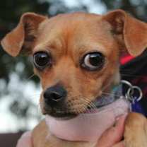 Thumbnail photo of Edith #4