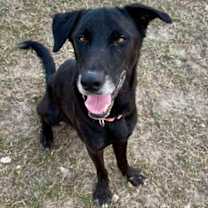 Thumbnail photo of Donny #2