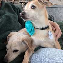 Thumbnail photo of Bippity #4