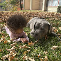 Thumbnail photo of Bane #1