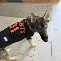 Thumbnail photo of Kai #4