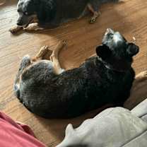 Thumbnail photo of Johnny #3