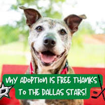 Thumbnail photo of Cheyenne #1