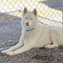 Thumbnail photo of Crew #2