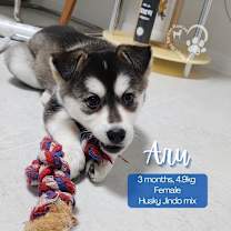 Thumbnail photo of Aru #1